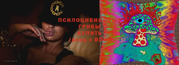 метадон Липки