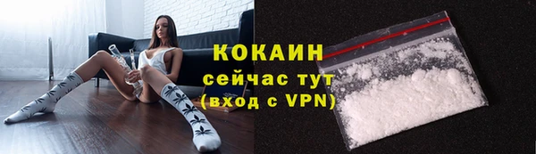 дживик Лагань
