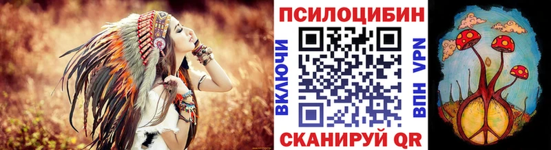Псилоцибиновые грибы мицелий  Сураж 